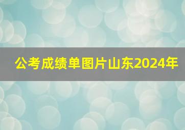 公考成绩单图片山东2024年