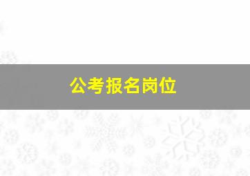 公考报名岗位