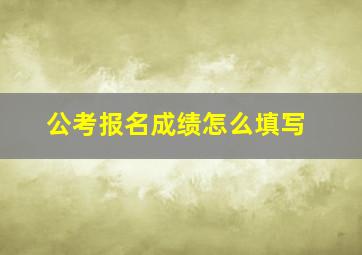 公考报名成绩怎么填写