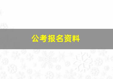 公考报名资料