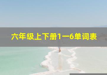 六年级上下册1一6单词表