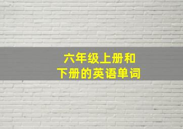 六年级上册和下册的英语单词