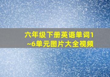 六年级下册英语单词1~6单元图片大全视频