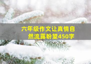 六年级作文让真情自然流露盼望450字