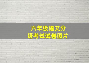 六年级语文分班考试试卷图片