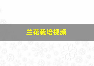 兰花栽培视频