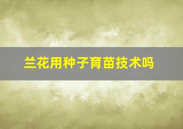 兰花用种子育苗技术吗