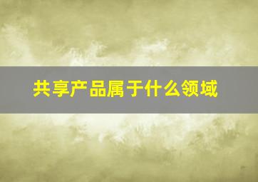 共享产品属于什么领域