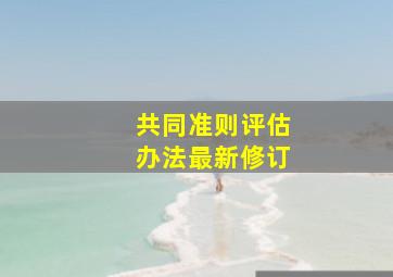 共同准则评估办法最新修订