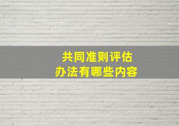 共同准则评估办法有哪些内容