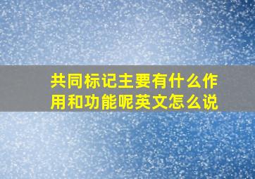 共同标记主要有什么作用和功能呢英文怎么说