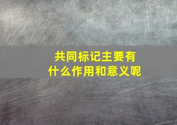 共同标记主要有什么作用和意义呢