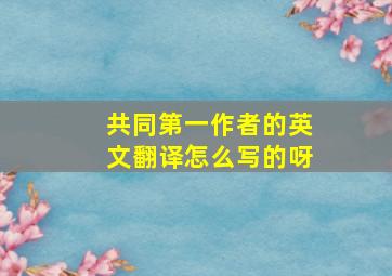 共同第一作者的英文翻译怎么写的呀