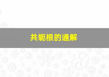 共轭根的通解