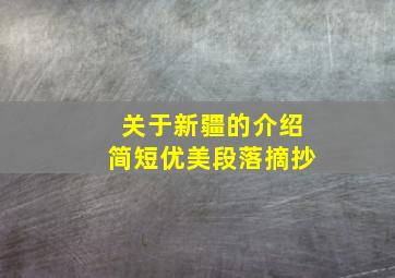 关于新疆的介绍简短优美段落摘抄