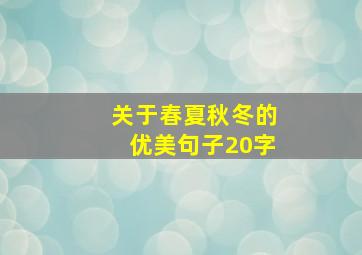 关于春夏秋冬的优美句子20字