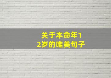 关于本命年12岁的唯美句子