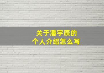 关于潘宇辰的个人介绍怎么写