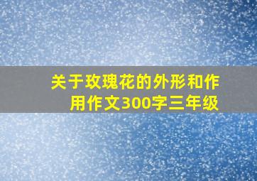 关于玫瑰花的外形和作用作文300字三年级