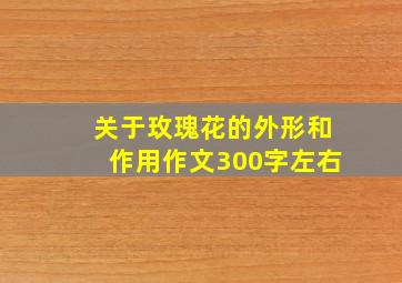 关于玫瑰花的外形和作用作文300字左右