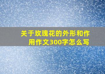 关于玫瑰花的外形和作用作文300字怎么写