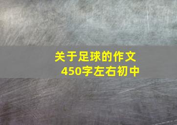 关于足球的作文450字左右初中