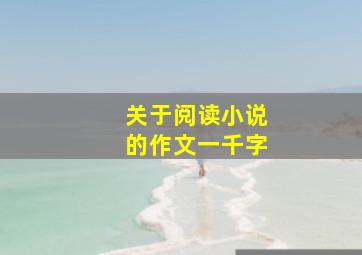 关于阅读小说的作文一千字