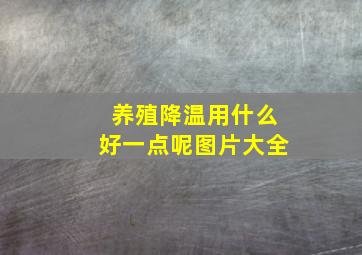 养殖降温用什么好一点呢图片大全