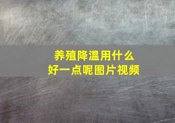 养殖降温用什么好一点呢图片视频