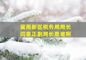 冀南新区税务局局长闫喜正副局长是谁啊