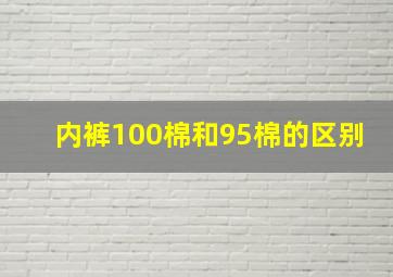 内裤100棉和95棉的区别