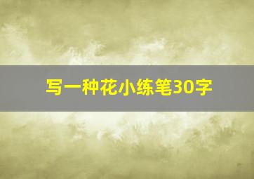 写一种花小练笔30字