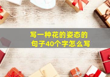 写一种花的姿态的句子40个字怎么写