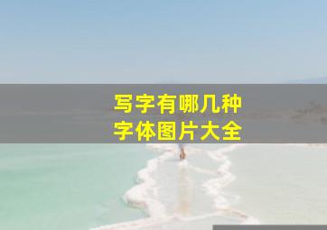 写字有哪几种字体图片大全