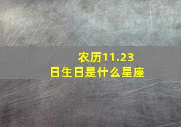 农历11.23日生日是什么星座