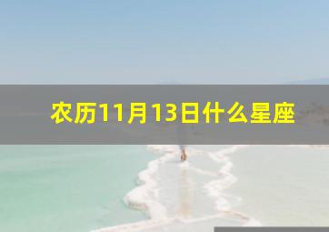 农历11月13日什么星座