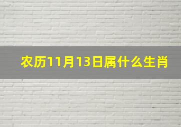 农历11月13日属什么生肖