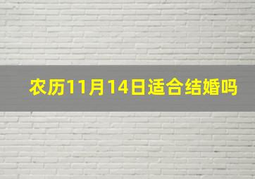 农历11月14日适合结婚吗