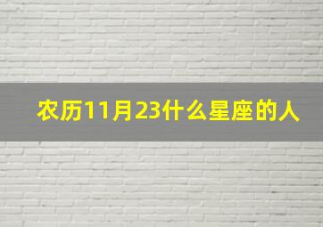 农历11月23什么星座的人