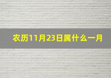 农历11月23日属什么一月