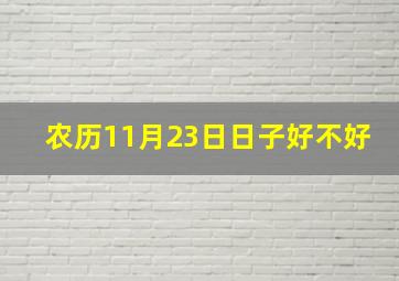 农历11月23日日子好不好