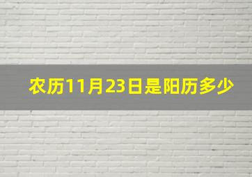 农历11月23日是阳历多少