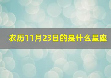 农历11月23日的是什么星座