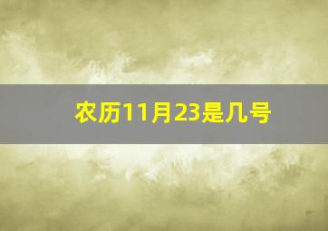 农历11月23是几号