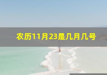 农历11月23是几月几号