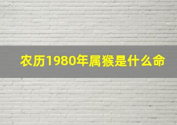 农历1980年属猴是什么命