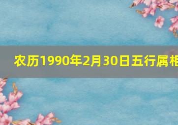 农历1990年2月30日五行属相