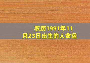 农历1991年11月23日出生的人命运