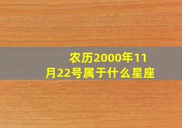 农历2000年11月22号属于什么星座