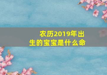 农历2019年出生的宝宝是什么命